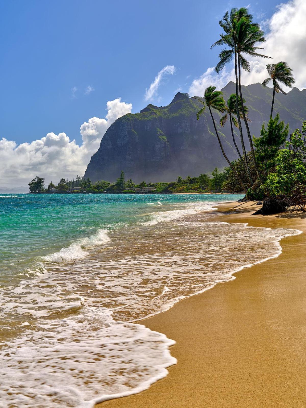 Free Parking Comfy Central Waikiki Гонолулу Екстер'єр фото